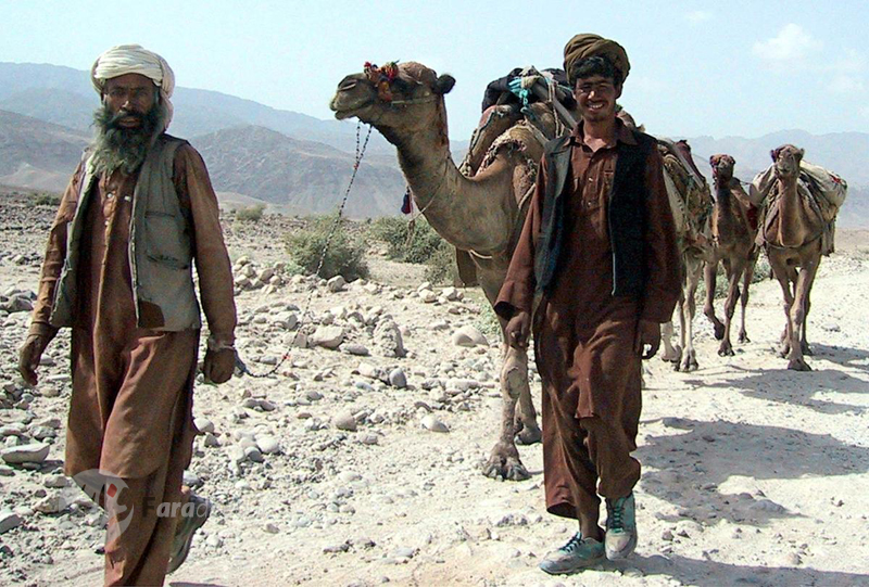 دو مرد افغان و چند شتر در حال عبور از جاده های خاکی اطراف کابل. 5 سپتامبر 2001 